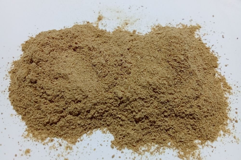 Galanga