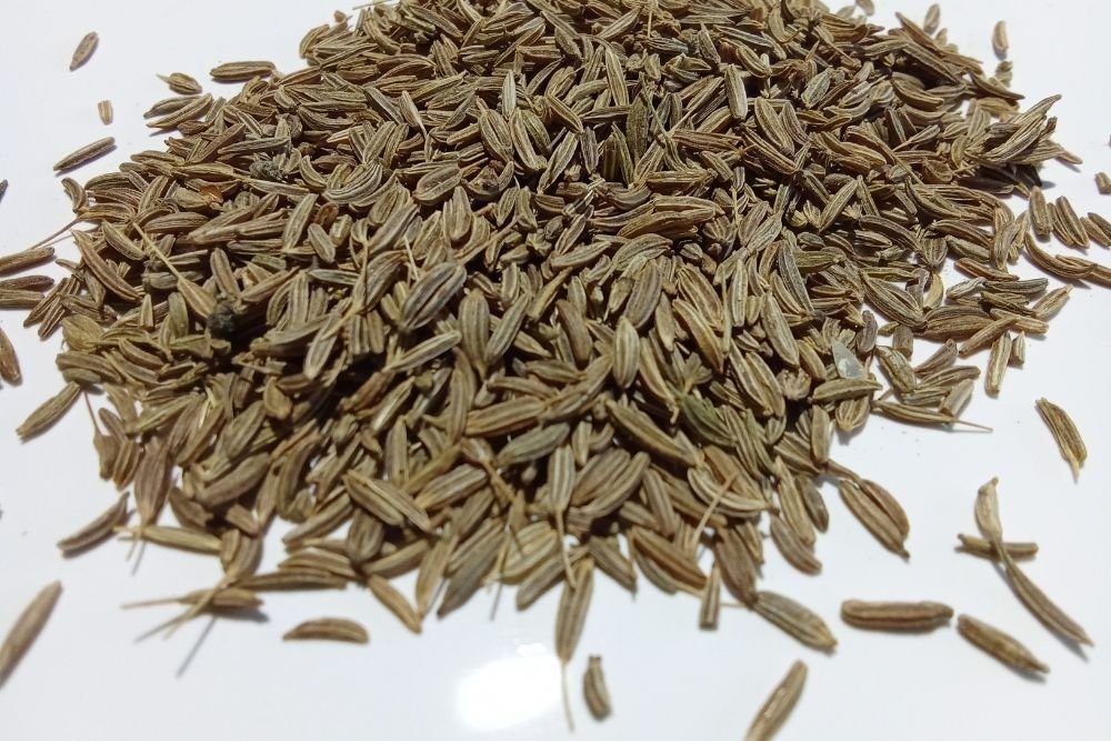 Alcarávia